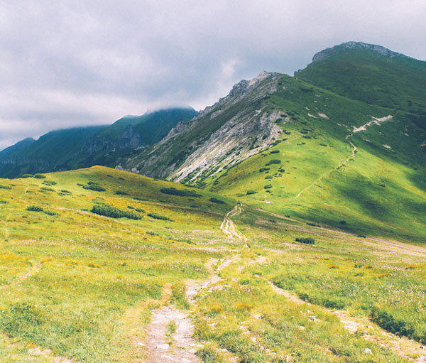 手机号测压源码